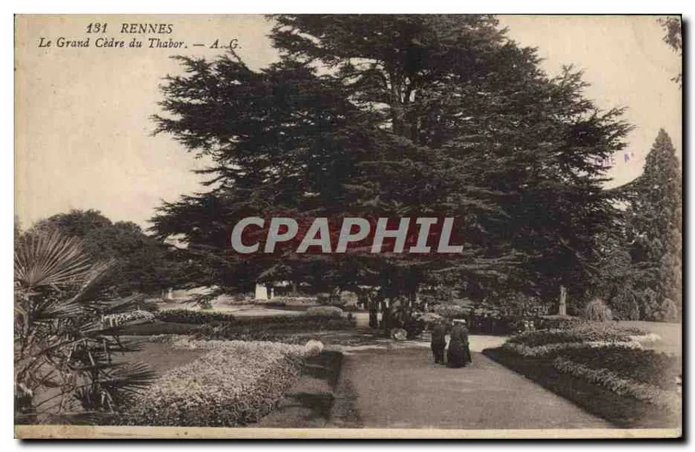 Het Grote Cederaam van het Thabor — Rennes — A.G. - Voorkant