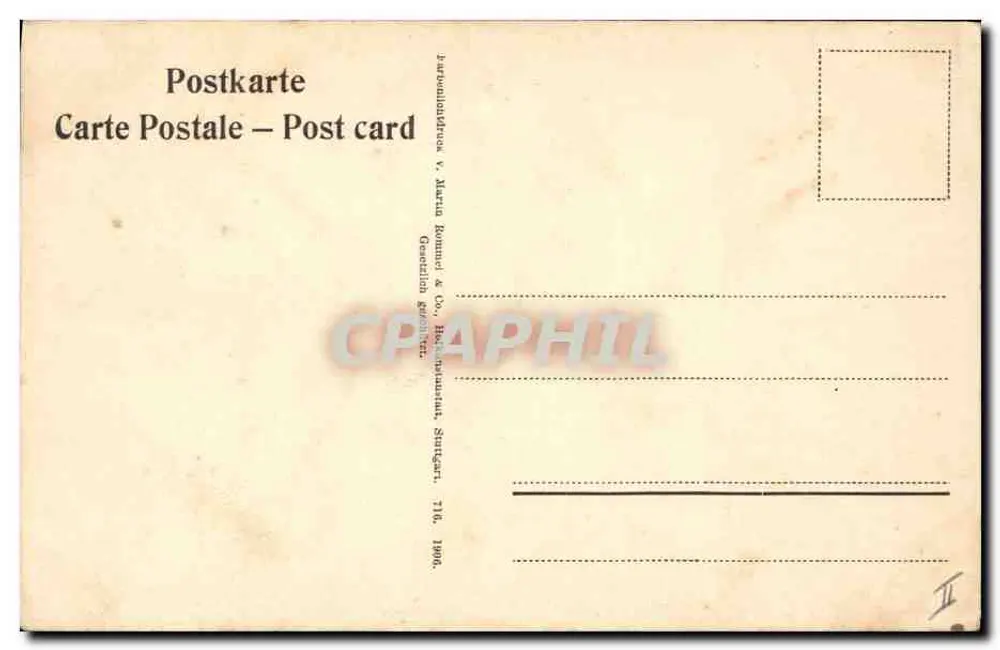 Frutas de prunus sobre galho — ilustração botânica — editor: Internationale Druck v. Marta Rommel & Co., Stuttgart - Verso