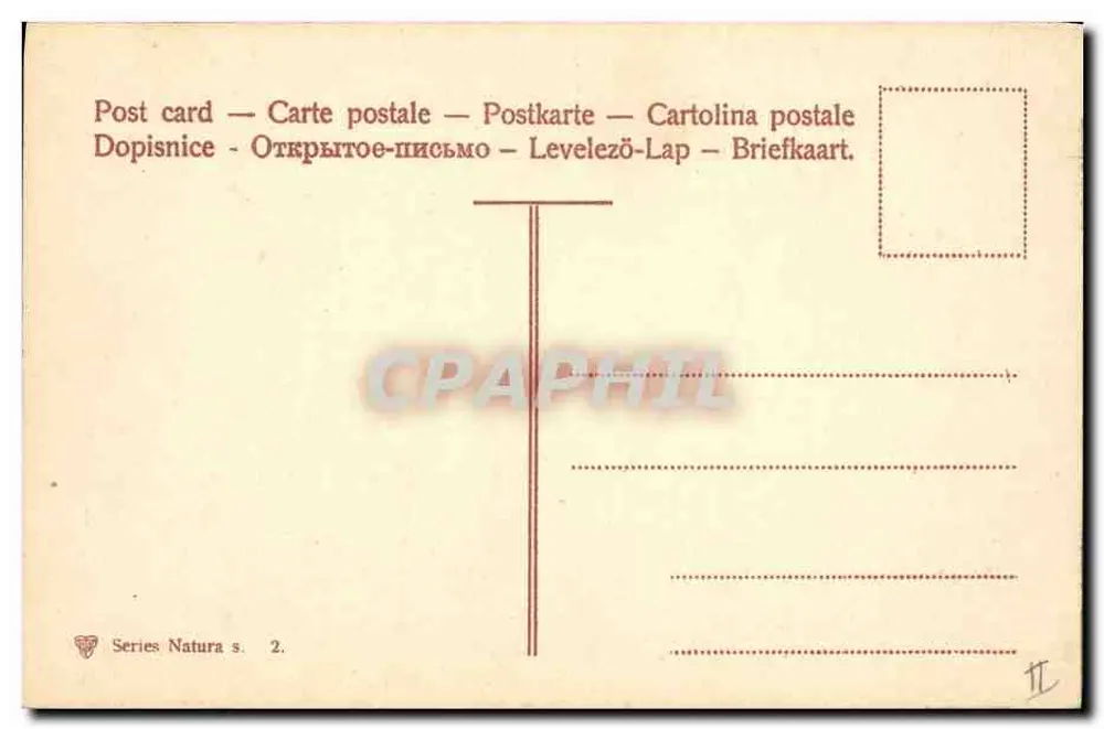फूल — गुलाबी टूलिप और नीले हाइएकिंस — सीरीज़ नैचरा s. 2 - पीछे