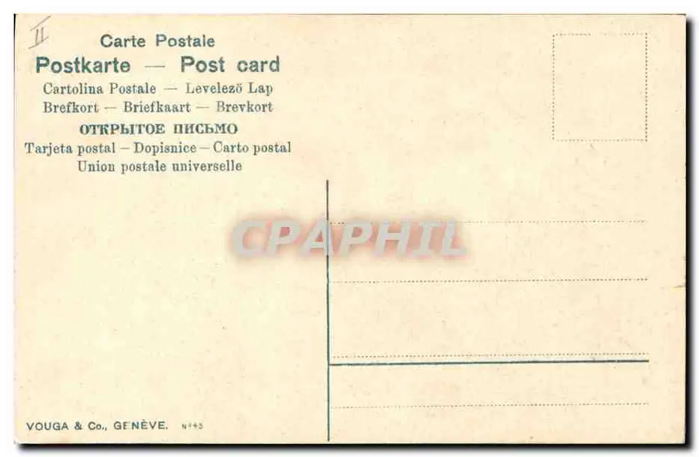 Flores de margaridas — ilustração — E. Voig, n°45 - Verso