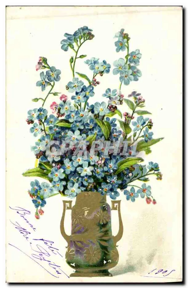 Flores de esquecimento — buquê em um vaso — editor não identificado, número de série não visível - Frente