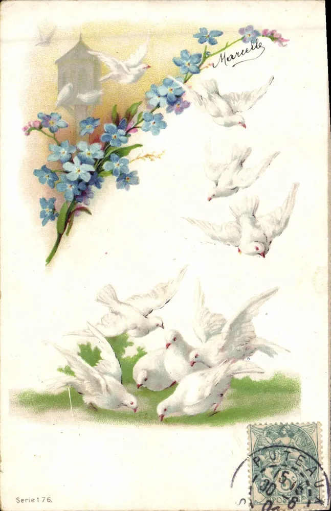 Pappagalli bianchi e fiori di dimenticanza — Marcelle — Serie 176 - Recto
