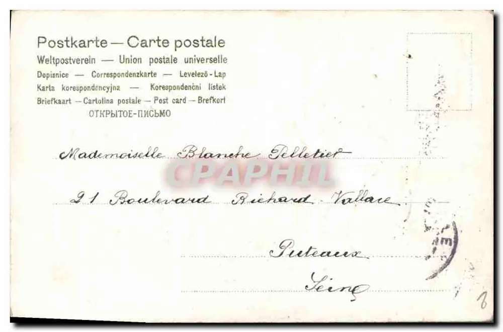 Pappagalli bianchi e fiori di dimenticanza — Marcelle — Serie 176 - Verso