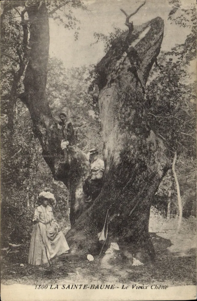 La Sainte-Baume - Der alte Eichenbaum — 1800 - Vorderseite