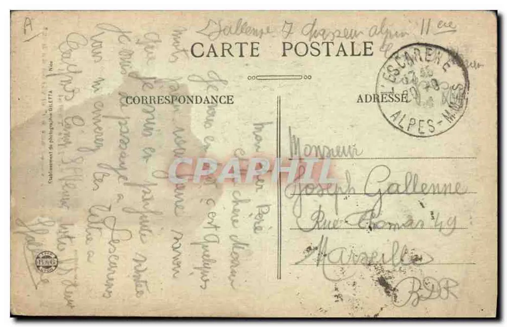 Fichte mit einem Umfang von 5'20 und etwa 60' hoch — Environs de Peïra-Cava (A.M.) — Fotostudio OLLETTA - Rückseite