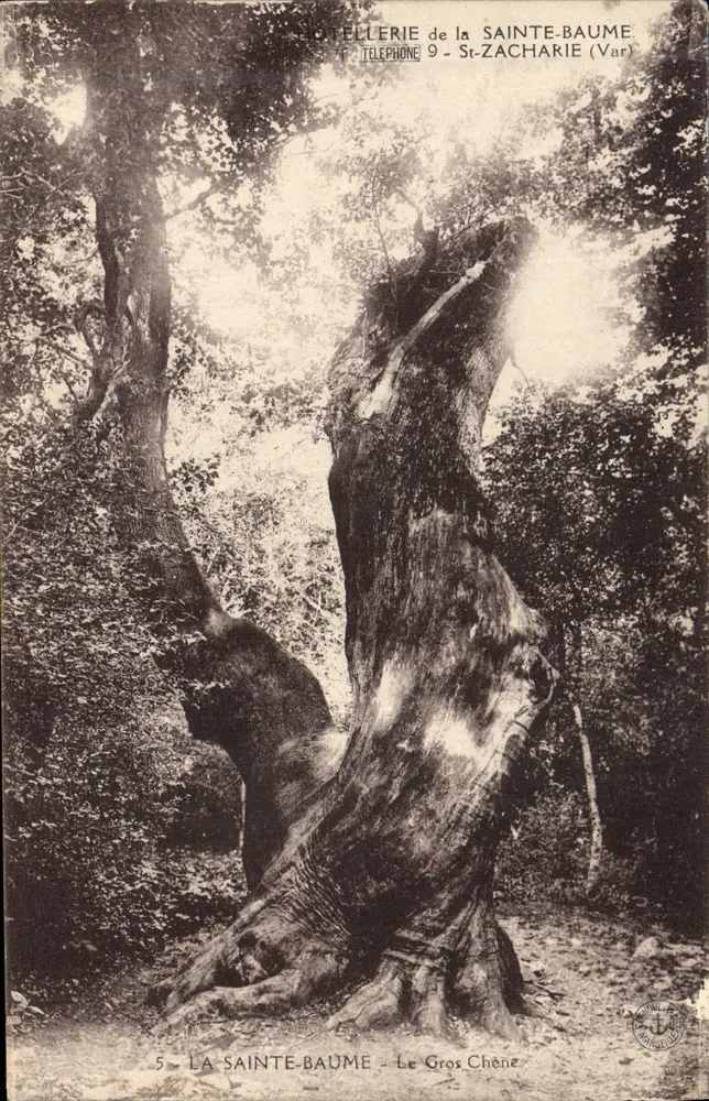 La Sainte-Baume — Le Gros Chêne — Hôtellerie de la Sainte-Baume, St-Zacharie (Var) - Vorderseite