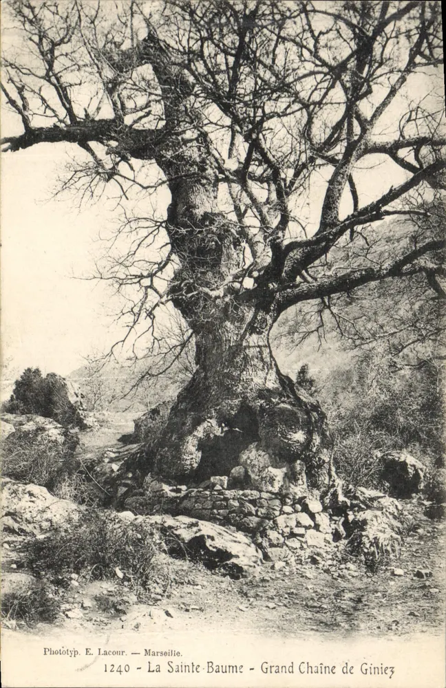 La Sainte-Baume - Grand Chaîne de Giniez — Phototyp. E. Lacour — Marseille — n°1240 - Vorderseite