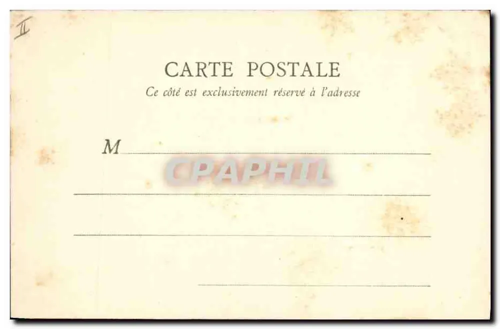 PARIS — Zedern des Jardin des Plantes — B. E. Paris, Nr. 121 - Rückseite