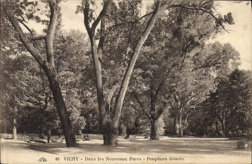 Vichy — In den neuen Parks — Riesige Poplars - Vorderseite