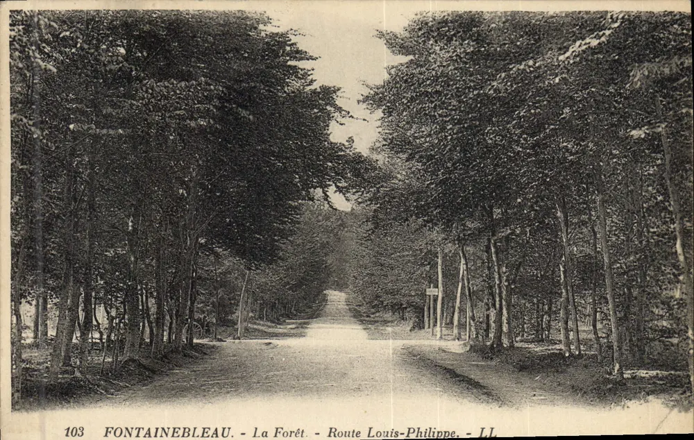 Fontainebleau - Die Forêt - Route Louis-Philippe - LL - Vorderseite