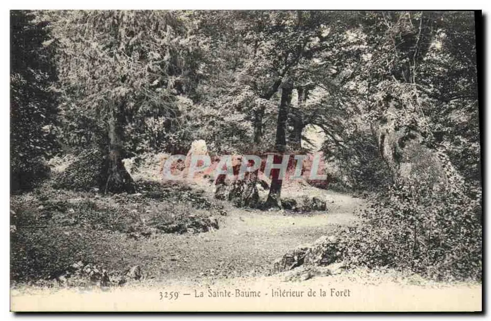 La Sainte-Baume - Interior de la Selva — Editor: neg. P. Lassons — número de serie 3259 - Anverso