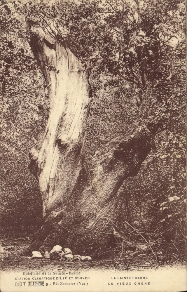 Der alte Eiche — La Sainte-Baume — Hôtellerie de la Sainte-Baume - Vorderseite