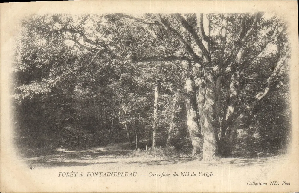 Wälder von Fontainebleau — Carrefour du Nid de l'Aigle — Collections ND. Phot - Vorderseite