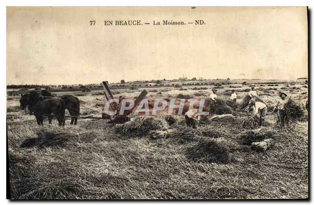 Em Beauce — A Colheita — ND. - Frente