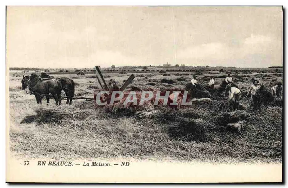 Na Beauce — A Colheita — ND - Frente