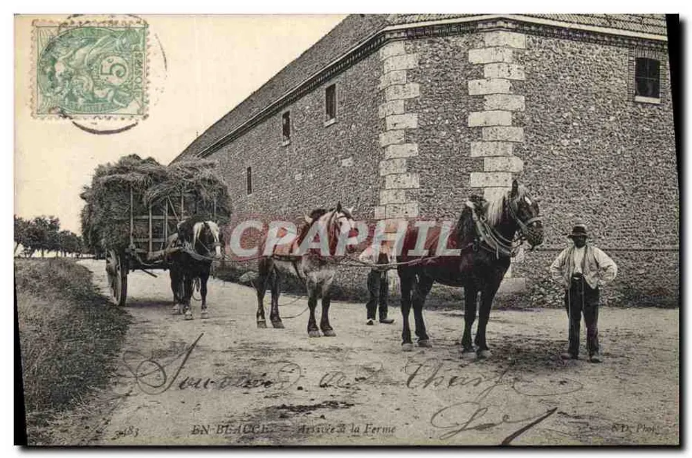 In Beauce — Ankunft auf dem Bauernhof — R.D. Phot. - Vorderseite