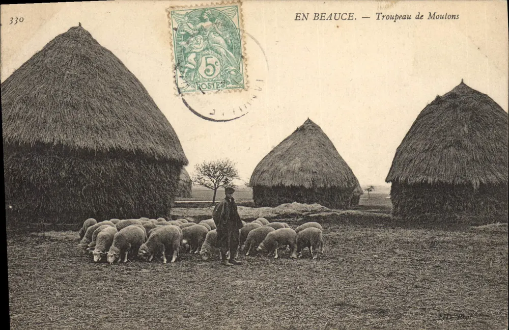 In Beauce — Schafherde — Verlag S. D. Phoel, n°330 - Vorderseite