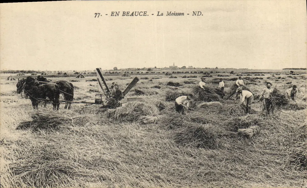 Na Beauce — A Colheita — ND. — Lévy et Neurden Reunis, Paris - Frente