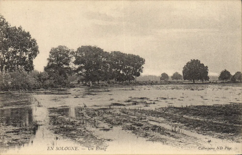 W Sologne — Jezioro — Wydawnictwo Collections ND-Phot - Awers