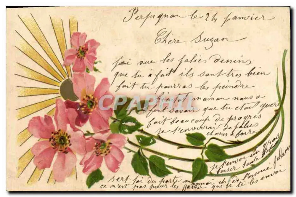 Flores rosas e sol — Perpignan, 26 de fevereiro — editor não identificado - Frente