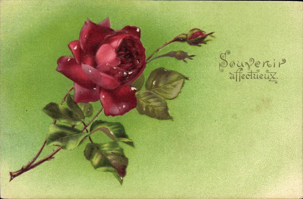 Rosa — Lembrança afetuosa — K. F. Editores, Paris, Série 1065 - Frente