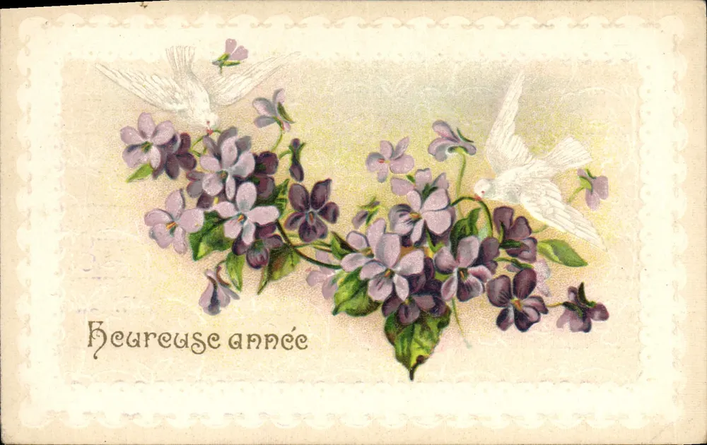Violette e colombi — Buon anno — Cartolina postale dell'Unione postale universale - Recto