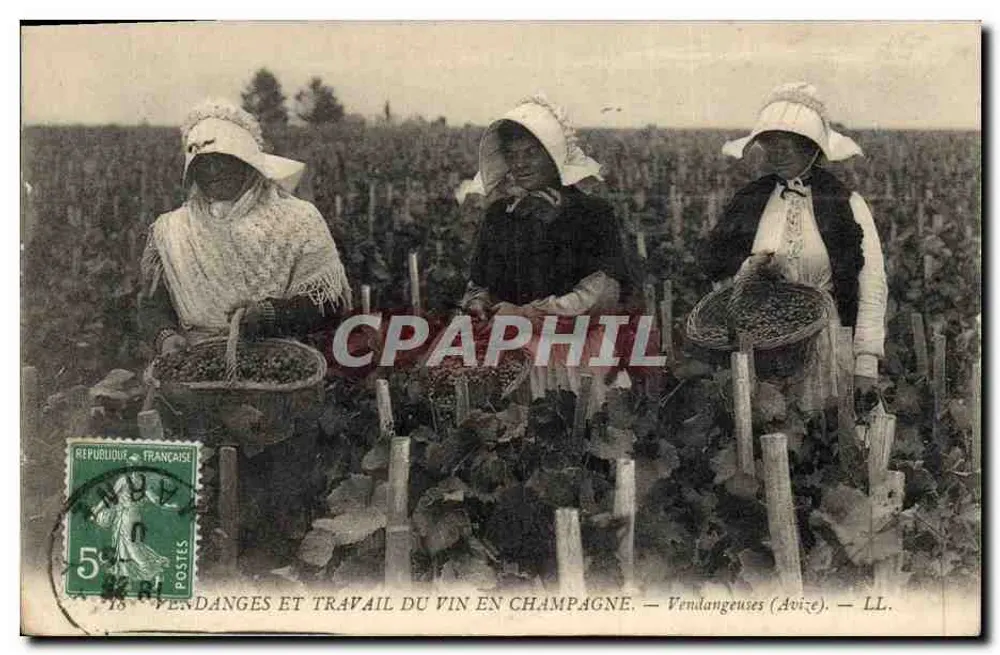 Traubenlese und Weinherstellung in Champagne — Traubenleserinnen (Avize) — LL. - Vorderseite