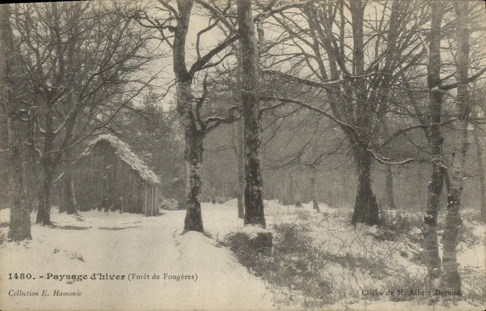 Winterlandschaft — Forêt de Fougères — Foto von M. Albert Durand, Nr. 1480 - Vorderseite