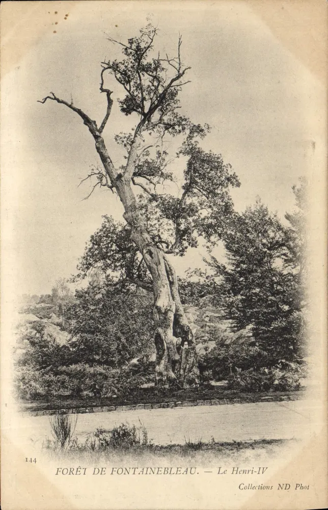 Wald von Fontainebleau — Le Henri-IV — Collections ND Phot - Vorderseite