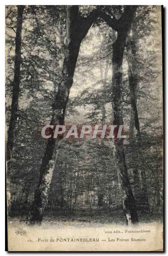 Forêt de Fontainebleau — Les Frères Siamois, Verlag - Vorderseite