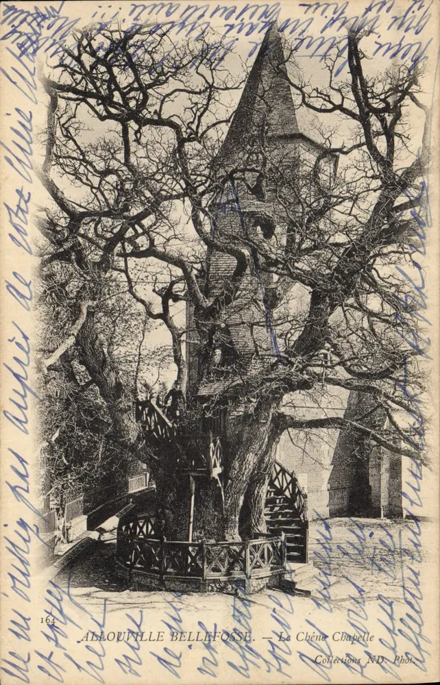 Allouville-Bellefosse — Der Eiche Chatelle — Sammlung ND. Foto n°164 - Vorderseite