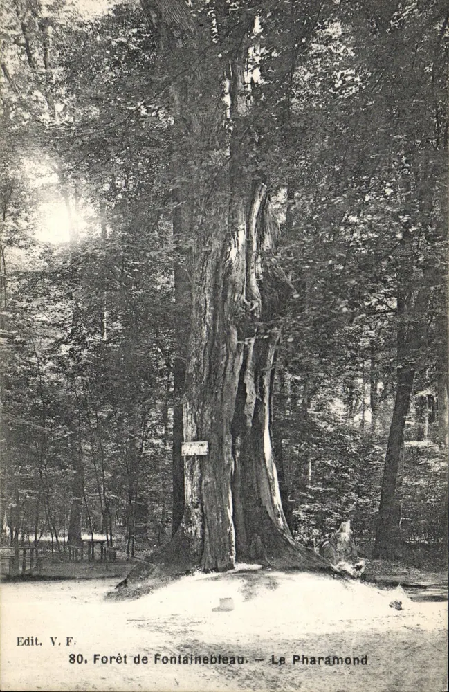 Floresta de Fontainebleau — Le Pharamond — Edit. V. F. n°80 - Frente
