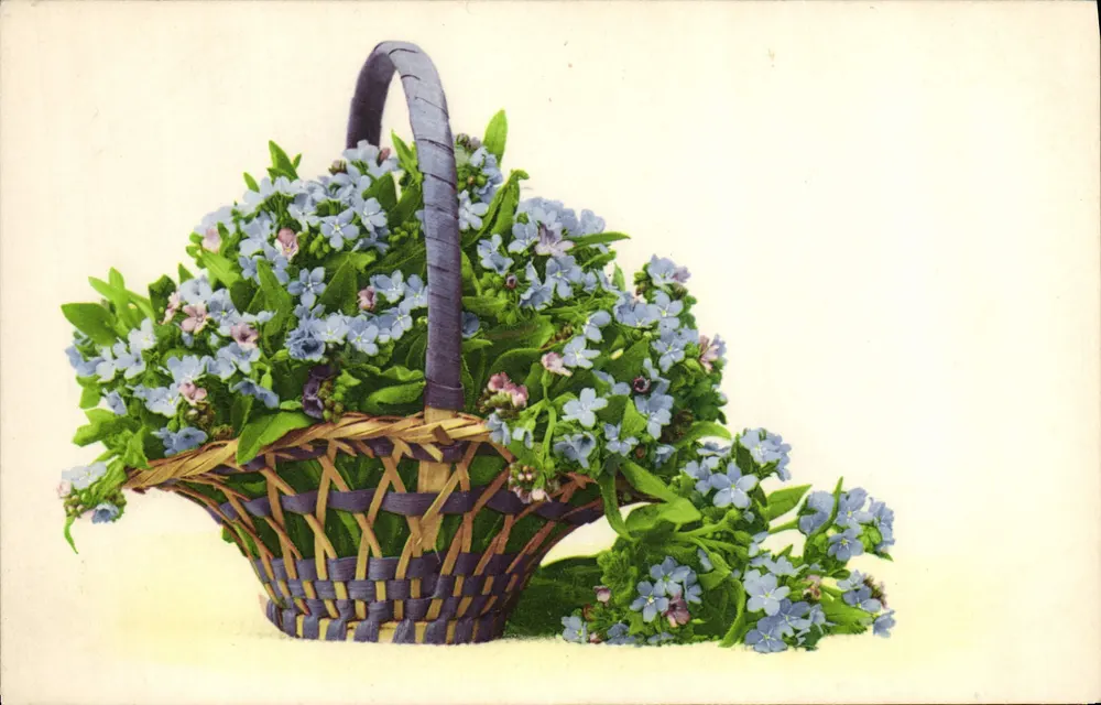 Arranjo de myosotis — símbolo de lembrança — editor G. Rommel & Cie, Stuttgart - Frente