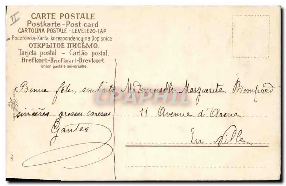 Flores de margaridas e mirtilos — editor não identificado — número de série não visível - Verso