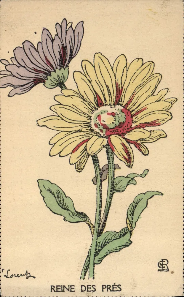 Königin der Wiese — botanische Illustration — Lountz, Serie F.99 - Vorderseite