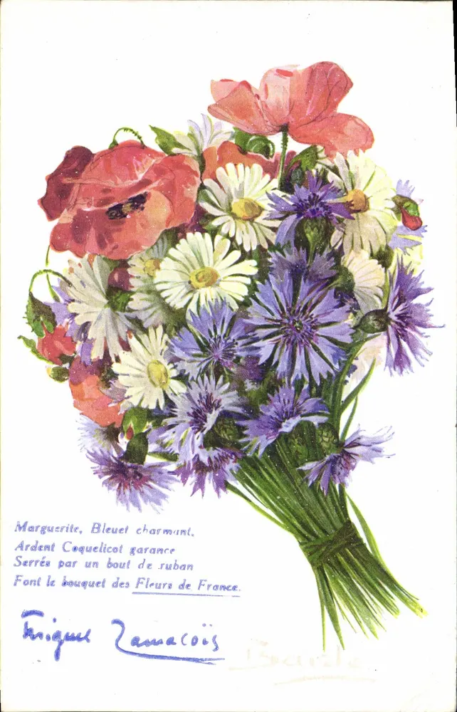 Bouquet de fleurs — Marguerite, bleuet, coquelicot — éditeur A. COLOR PARIS, n°525 - Vorderseite