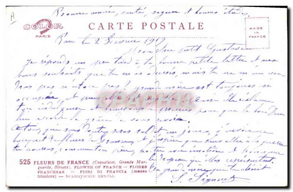 Bouquet de fleurs — Marguerite, bleuet, coquelicot — éditeur A. COLOR PARIS, n°525 - Rückseite