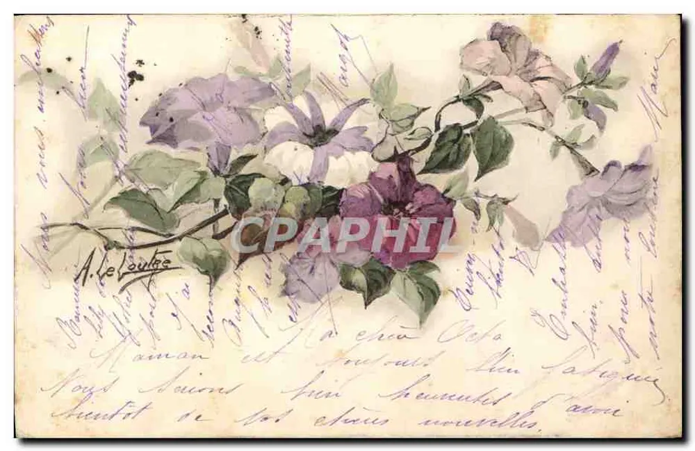 Flores de cores variadas — A. Le Cautre — editor não visível - Frente