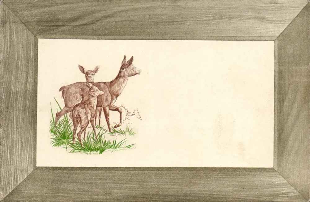 Zwei junge Hirsche und ein Weibchen — Illustration in Rahmen — K. P. Éditeurs, Paris, Serie 19 - Vorderseite