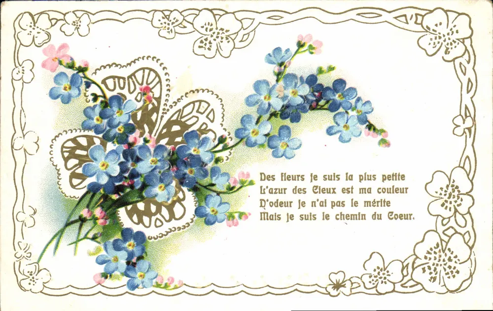 Flores e borboleta — poema sobre flores — editor desconhecido, número de série não visível - Frente