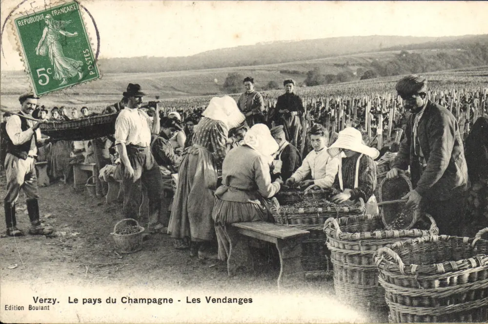 Verzy. Das Land der Champagne - Die Weinlese — Edition Bouliant - Vorderseite