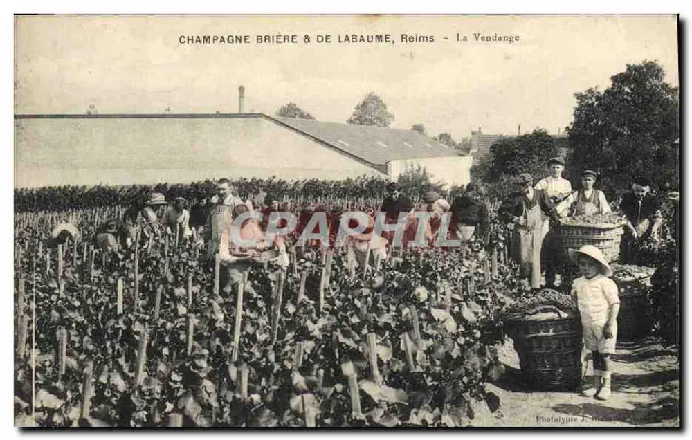 Champagne Brière & de Labaume, Reims — Die Weinlese — Phototypie J. Rémy - Vorderseite