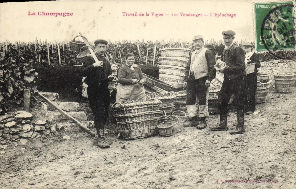 La Champagne — Arbeit im Weinberg — Die Ernte — Das Auslesen — J. W. Stendanger, Imp. A. L. E. Chartrou - Vorderseite