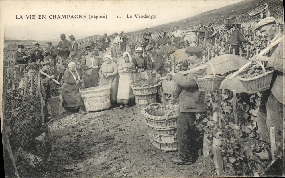 A Colheita — série 'A Vida na Champagne' — depositado, editor E. Le Deley, Paris - Frente