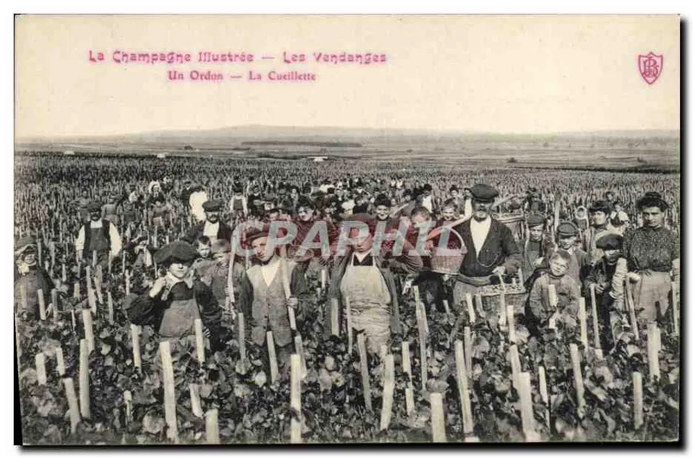 As Colheitas — Um Ordon — La Cucillette — La Champagne Illustrée - Frente