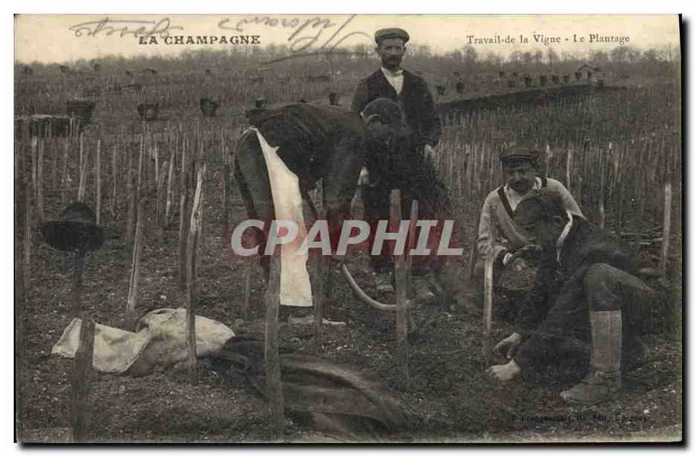 La Champagne — Arbeit im Weinberg - Pflanzen — Brie-Comte-Robert, Nr. 140 - Vorderseite