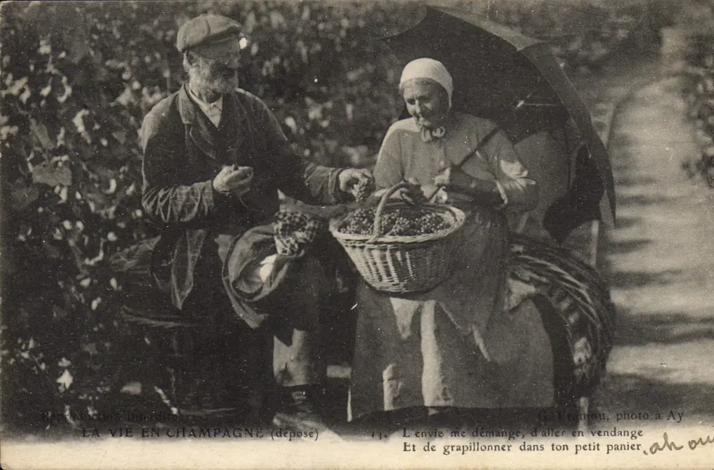 Leben in der Champagne — Leben in der Champagne (abgelegt) — Foto in Ay - Vorderseite