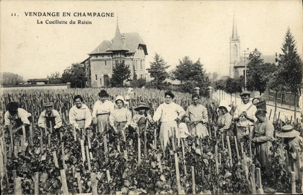 Weinlese in der Champagne — La Cucillette du Raisin — Imp. Le Deley - Vorderseite