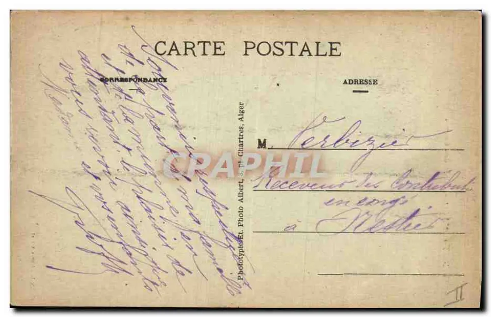 Teniet-el-Haad - Bosque de Cedros — Fototipia El. Photo Albert, Alger - Reverso
