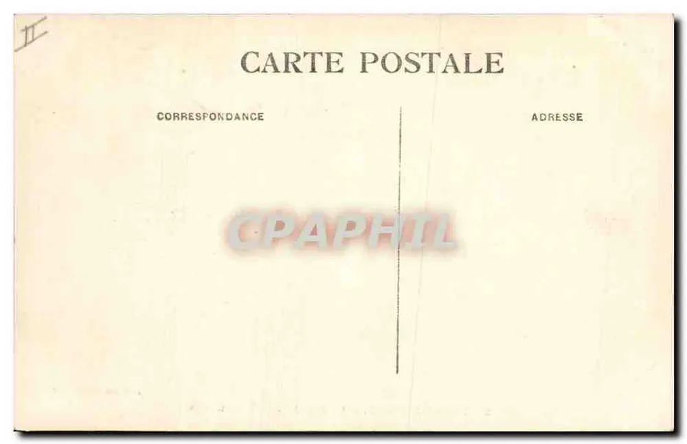 Teniet-el-Haâd — Ein Stück der Zedernwald — Delcez phot. Algerien - Rückseite